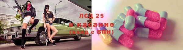 индика Балабаново