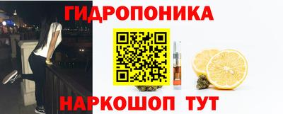 соль ск Тара