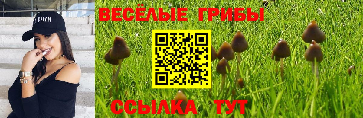 Сердобск  Псилоцибиновые грибы мицелий  Галлюциногенные грибы Magic Shrooms  Вход с VPN 